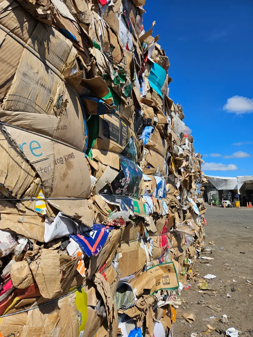 Sorted Paper and Cardboard | Rubbish Direct